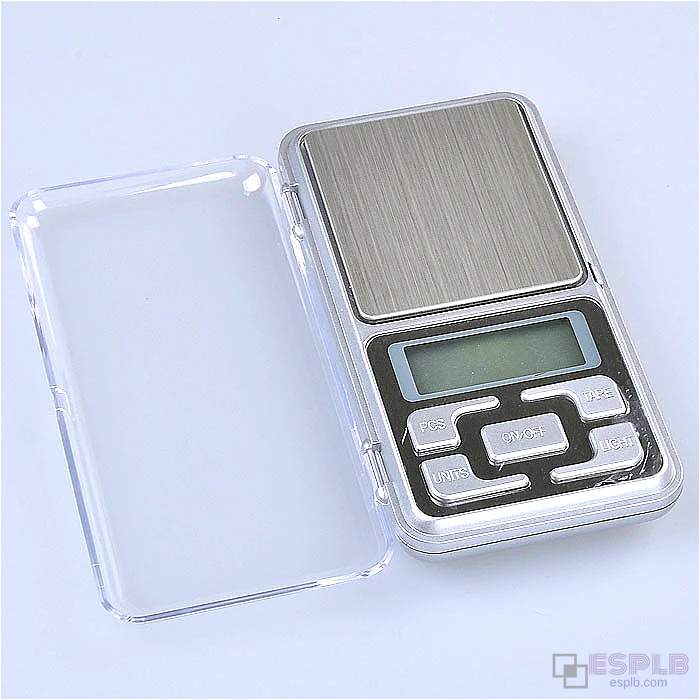 500g/0.1g Draagbare Digitale Weegschaal