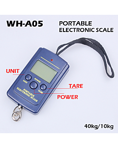 Portable Mini Electronic Digital Scale Hanging Fishing fish Hook Pocket Weighing Balance wh-a01L 0-10KG/5G,10-40KG/10G